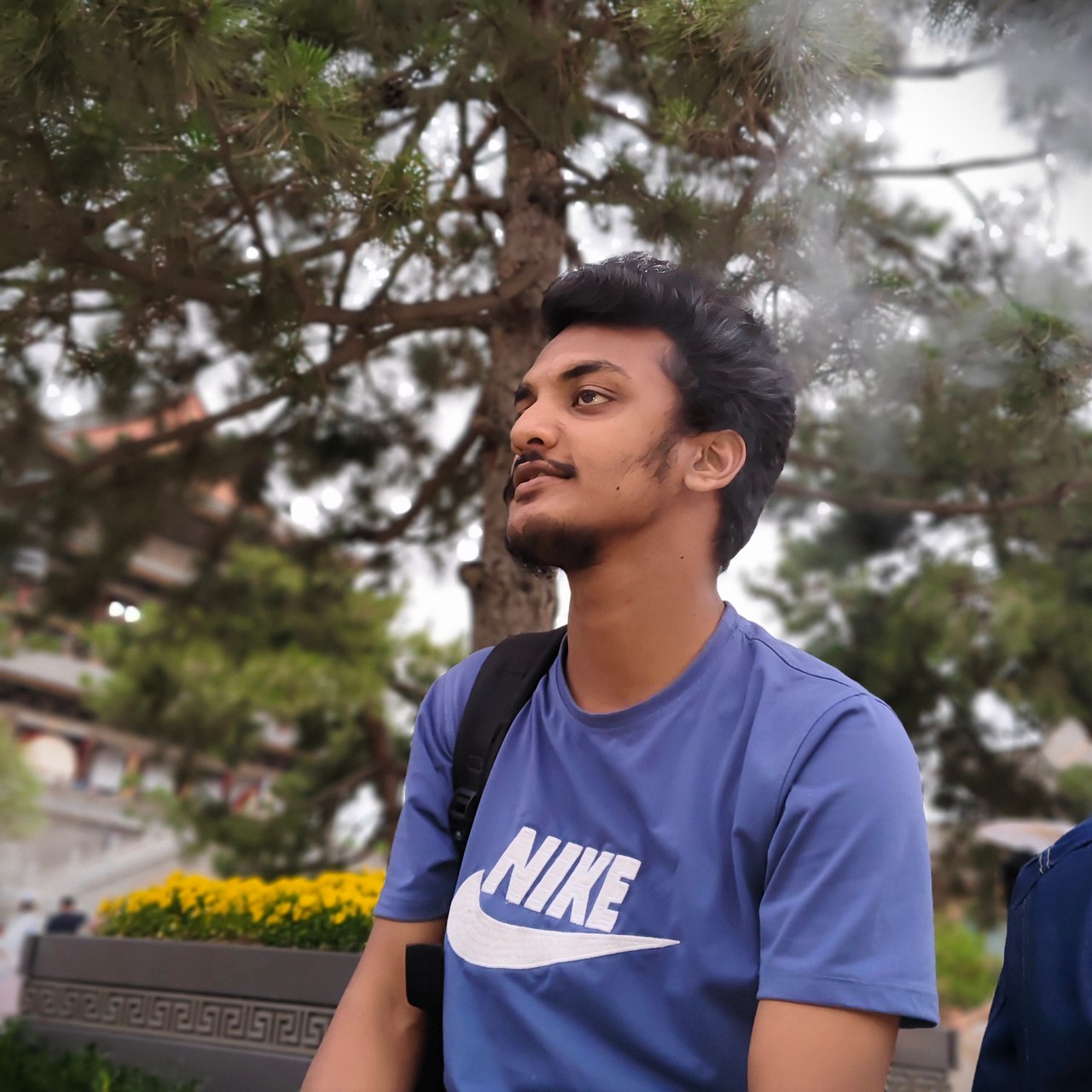 mentor-image